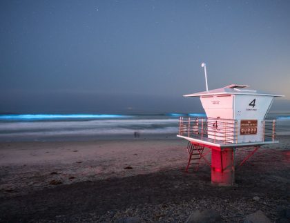 Mar brillando de noche por bioluminiscencia, foto de referencia editorial